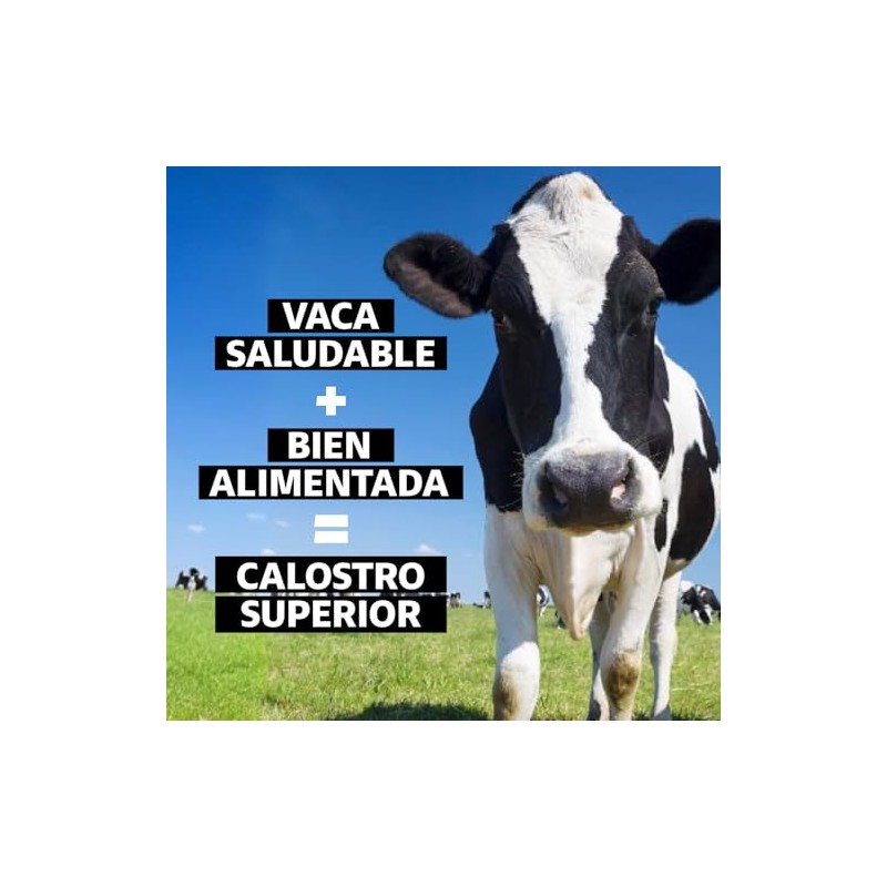 Beyond Vitamins | Calostro Bovino Grass Fed de Libre Pastoreo