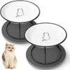 FoiiLiio Ceramic Cat Feeding Bowl Set of 2