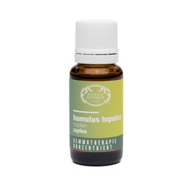 RATHAUS APOTHEKE WIEN Concentrated Bud Extract - Gemmotherapy - Humulus Lupulus - The Hops - 15 ml