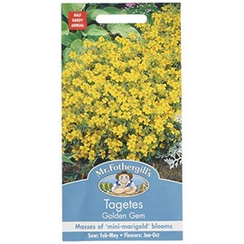 Mr. Fothergill's 12253 Golden Gem Tagetes Marigold Flower Seeds, golden yellow