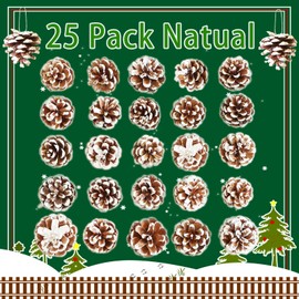 25pcs Natural Christmas Pine Cones - Rustic Snow Pinecones with Strings, Hanging Ornaments for Xmas Tree, Gift Tags, and Winter Holiday Party Decorations (1.6-2 inches)