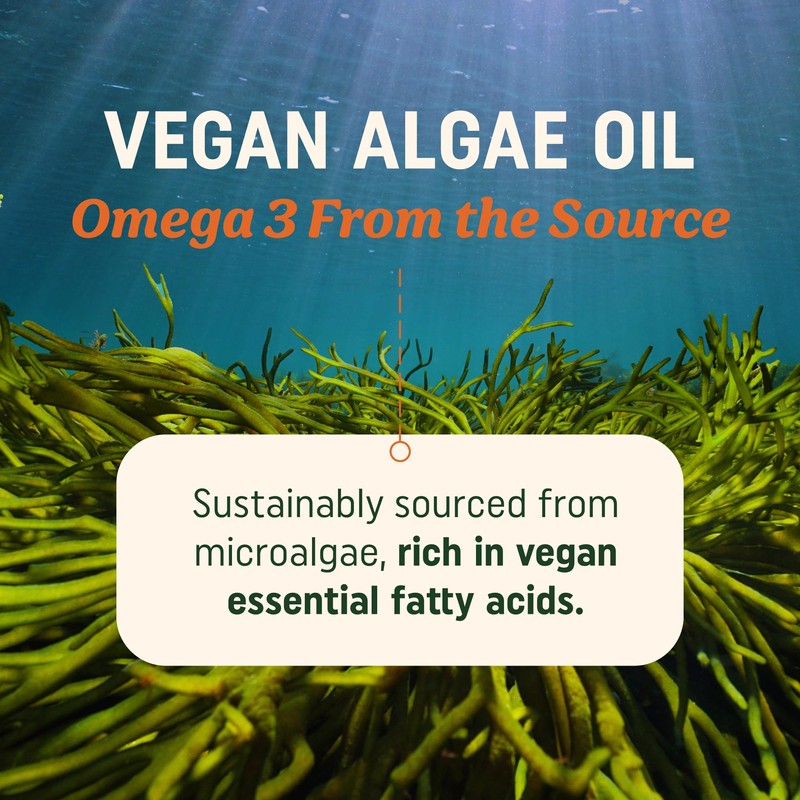 Vegan Omega 3 Algae Oil | Plant Based DHA EPA