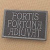 Subdued Fortis Fortuna Adiuvat 2x3.25 John Wick Blackout Morale Tactical