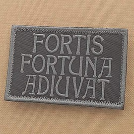 Subdued Fortis Fortuna Adiuvat 2x3.25 John Wick Blackout Morale Tactical Military Hook Patch