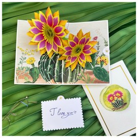 AIMEEOI Cactus Greeting Card, 3D Birthday Card for Women, Succulent Pop-Up Card for Mother's Day & All-Occasions with Message Note & Envelope