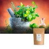 Té de Pasiflora Ecológico Hoja Entera - Passiflora Seca a