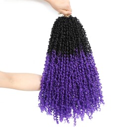Yanky Twist Crochet Hair - 16 Inch 10 Packs Yanky Passion Twist Hair 3x Bohemian Yanky Twists Pre-twisted Fluffy Mini Twist Crochet Hair Crochet Braiding Hair (1B/Purple)