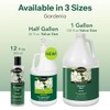 ShiKai Gel de ducha hidratante natural, Gardenia, 12 onzas, 12