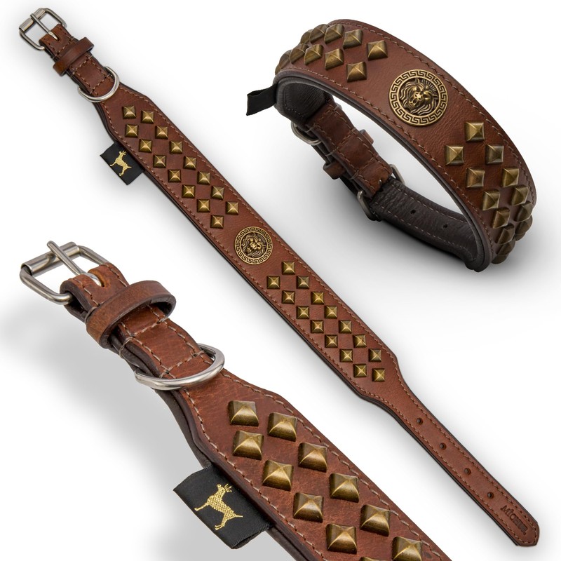 Michur Diego Brown Dog Collar Leather Dog Collar Lion Head