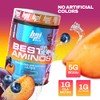 Bpi Sports Best Aminos Bcaa Aminos Glutamina 250 Gr 25