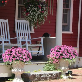 Kainonnan 6 Bundles Artificial Geraniums for Outdoors Fake Plants Faux Geraniums Artificial Flowers Outdoor Faux Plants for Yard Porch Home Garden Indoor Outdoor Decor (Pink)