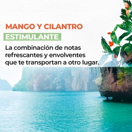 YVES ROCHER Kit Jabn para Manos Aroma Mango, Sin Sulfatos, para Todo Tipo de Piel, Frmula Vegana, Incluye 3 piezas, 190 ml c/u