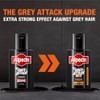 Alpecin Grey Attack MAX Caffeine & Colour Shampoo 1 x