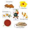 Olinda Herbal Cinnamon Apple Tea with Allspice Blend | Caffeine-Free,