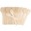 Compostable Spoons, Wood Disposable Utensils, 100 Wood Spoons, Compostable Utensils