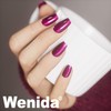 Wenida Cat Eye Gel Nail Polish, Includes Professional Nail Art