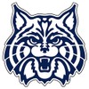Arizona Wildcats Decal