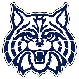 Arizona Wildcats Decal