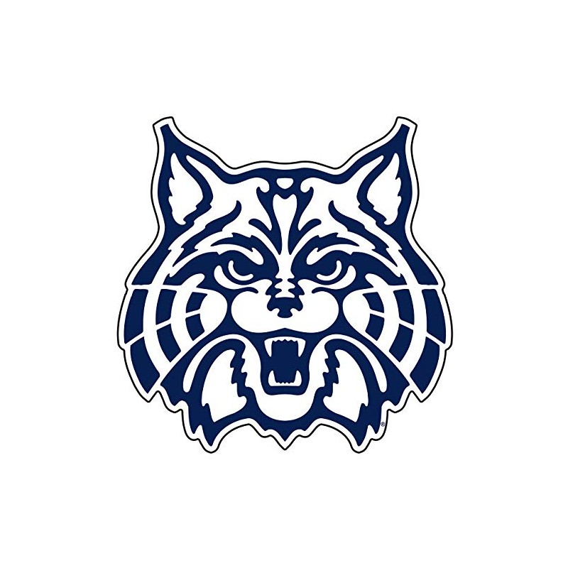 Arizona Wildcats Decal