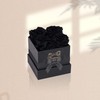 UFOREVER ROSES 4-Piece Preserved Roses in a Box, Preserved Flowers,