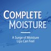 Blistex Complete Moisture Lip Protectant 0.15 oz (Pack of 2)