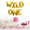 PartyForever Wild One Balloons Banner Gold Foil 1st Birthday Party
