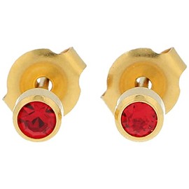 Surgical Steel Gold Plated Sterile Stud Earrings 4 mm Frame with Stone red