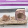 YARDWE Summer Squirrel Nest Ceramic Hamster Hideout Hamster House Chinchilla