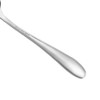 Eslite Large Soup Spoons/Stainless Steel Bouillion Spoons,12-Piece,7.7 Inches