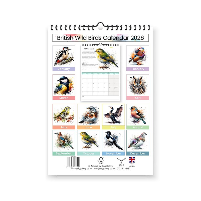 British Wild Birds 2026 Yearly Wall Hanging Calendar - Splash