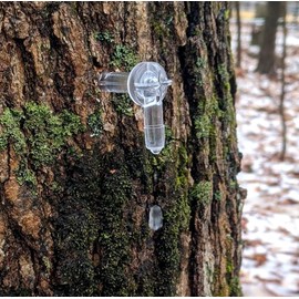 Maple Syrup Supplies 20 Maple Syrup Clear Plastic 5/16" Tubing Spout Taps Spiles