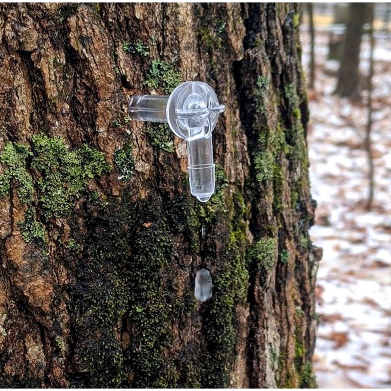 Maple Syrup Supplies 20 Maple Syrup Clear Plastic 5/16" Tubing