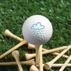 PLIGREAT Weather Pattern Stickers for Golf Ball Marker 2 Sheets
