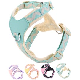 Petank Blue xs Dog Harness for Small Dogs, No Pull Dog Harness with 2 Leash Clips, Easy Walk Dog Harness Small Sized Dog, Puppy Harness for Small Dogs, Adjustable Dog Vest Harness (Blue, XS)