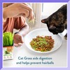 Pre-Grown Organic Cat Grass Plant for Indoor Cats. Natural Live