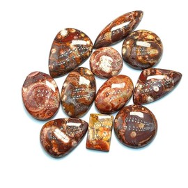 Bird Eye Jasper Loose Gemstones Wholesale Lot 100 Carat (3 to 5 Pcs) Natural Gemstone Cabochons for Jewelry Making,Wedding Gift, Healing Chakra, Wire Wrapping Crystals