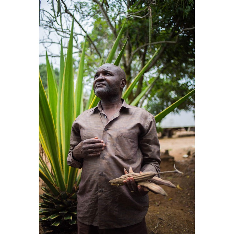 ZAMBEEZI Organic, Fair Trade Beeswax Lip Balm - Sweet Basil