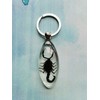 FlyingBean KeyChain With Real Black Scorpion Insect Specimens, Animal Taxidermy