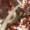 EZ Smart 14-Inch Lightweight Manual Pruning Saw with 21-Foot Extension