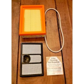 STIHL NEW Genuine STIHL Air Filter Kit TS700 TS800 4224-007-1013 OEM