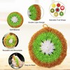7 Pack Fruit Dish Scrubber Set,Non Scratch Funny Cleaning Sponge