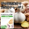 Lipsa C-162-2 Garlic + Ginger, Approx. 3 Month Supply x