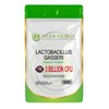 HB Lactobacillus Gasseri | 60 Lactobacillus Probiotic Capsules - High