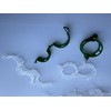 Poexuzi Secured PlasticTomato Vine Clips Support Clips Climbing Plants Garden