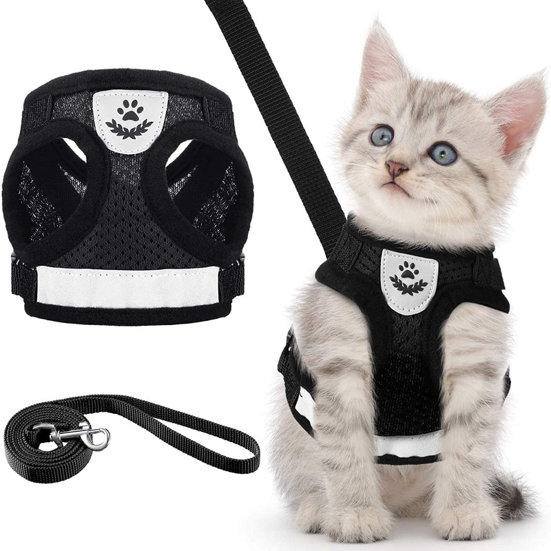 Arnés con correa para Perro Chico o Gato, diseño cómodo