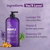 Botanic Hearth Purple Shampoo - for All Shades of Blonde,