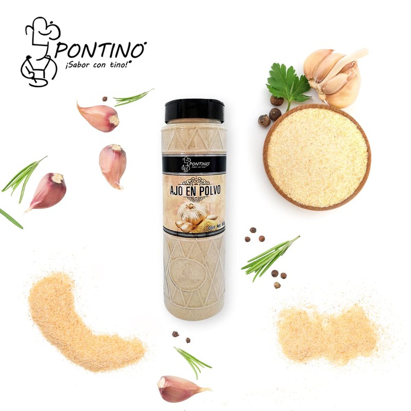 Pontino Ajo en Polvo, 480 g