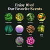 Essential Oils Set - Top 10 Gift Set Blends for