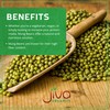 Jiva Organics Organic Mung Beans Whole 4 LB LARGE Bag