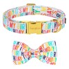 Unqiue Style Paws Birthday Dog Collar, Soft and Cute Dog